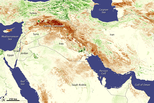 In 2006-2010, an unprecedented drought (brown areas) spread across much of Turkey, Syria and Iraq—the so-called Fertile Crescent. In part due to unsustainable farming practices and government mismanagement, Syria was especially vulnerable to its effects. (NASA)
